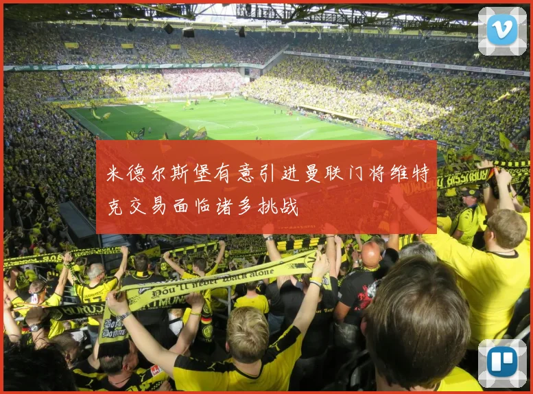 米德尔斯堡有意引进曼联门将维特克交易面临诸多挑战